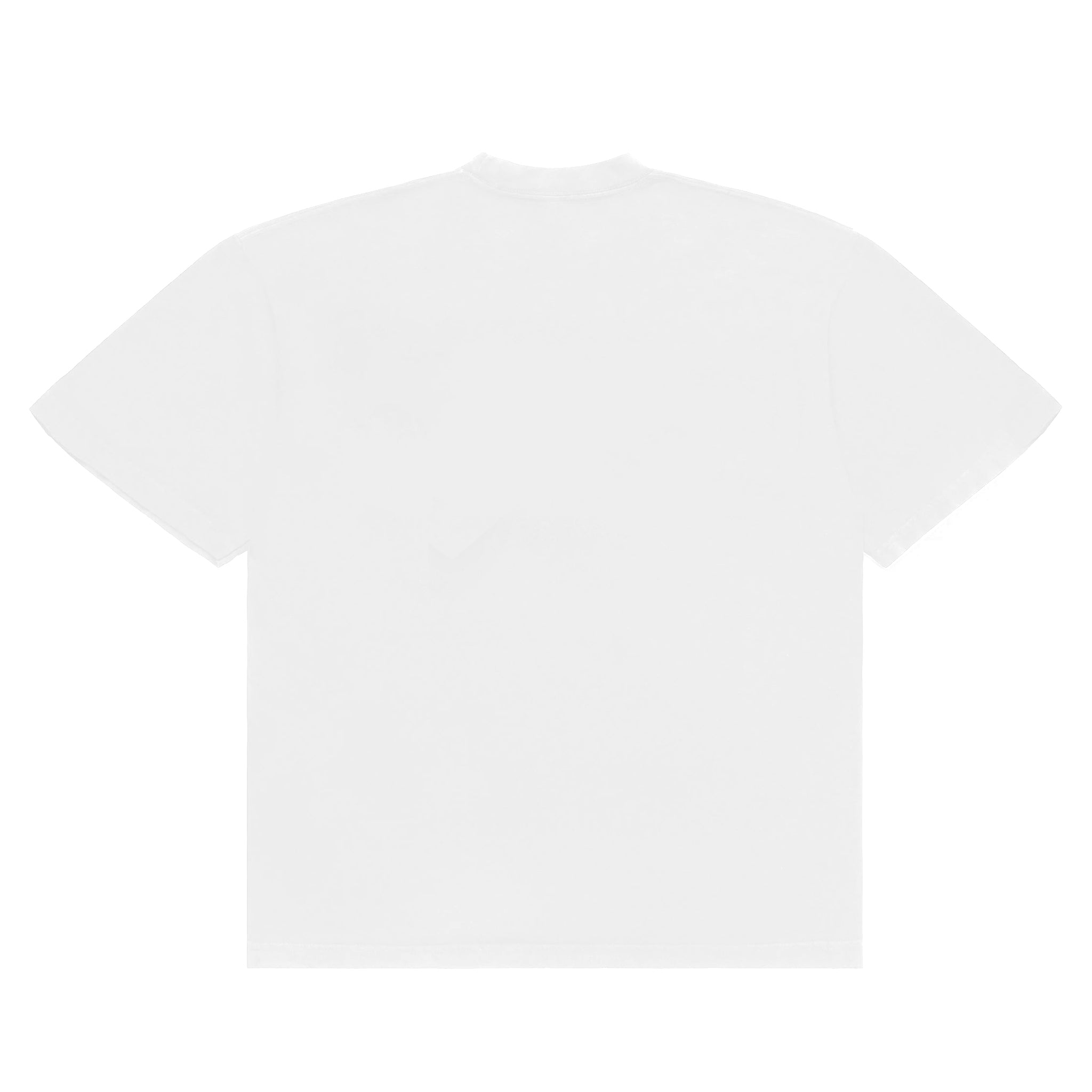 IMMIGRANTS MAKE AMERICA GREAT T-SHIRT - Image 2