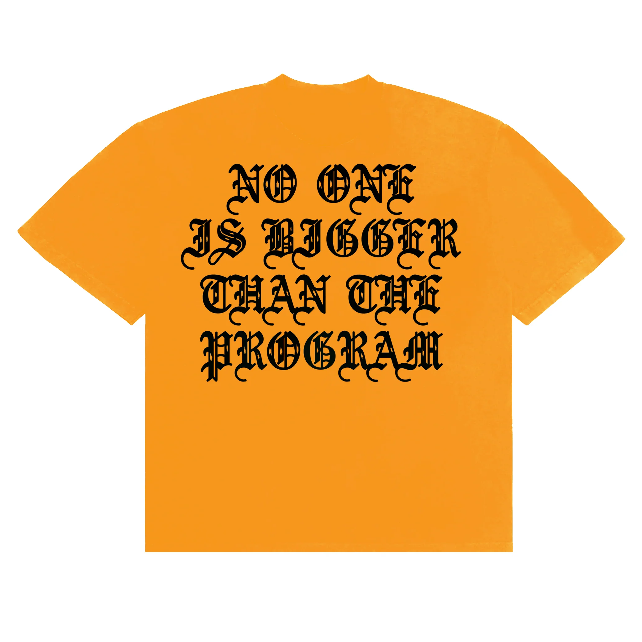 NO ONE IS BIGGER THAN THE PROGRAM T-SHIRT