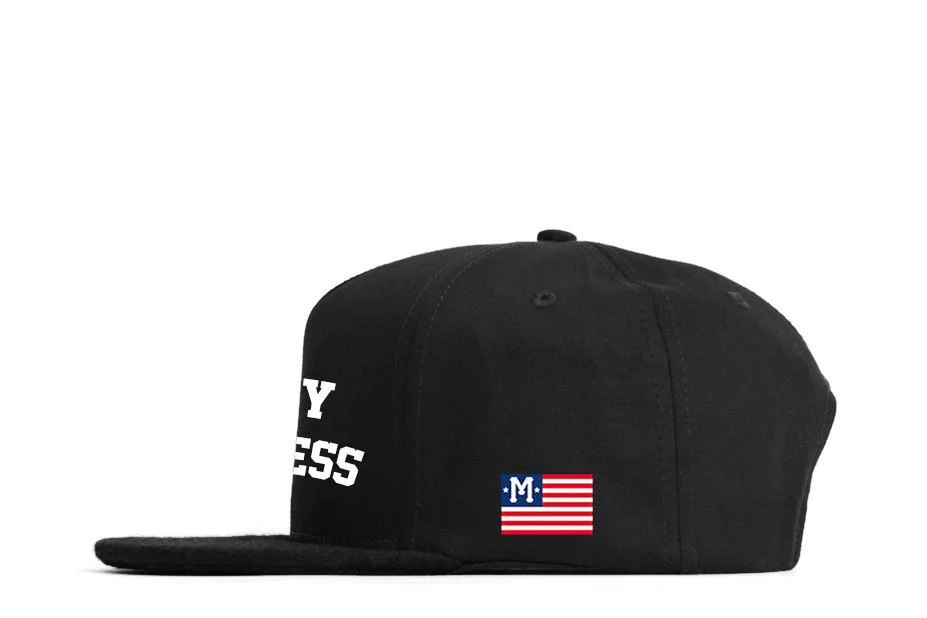 RISKY BUSINESS CAP - Image 2
